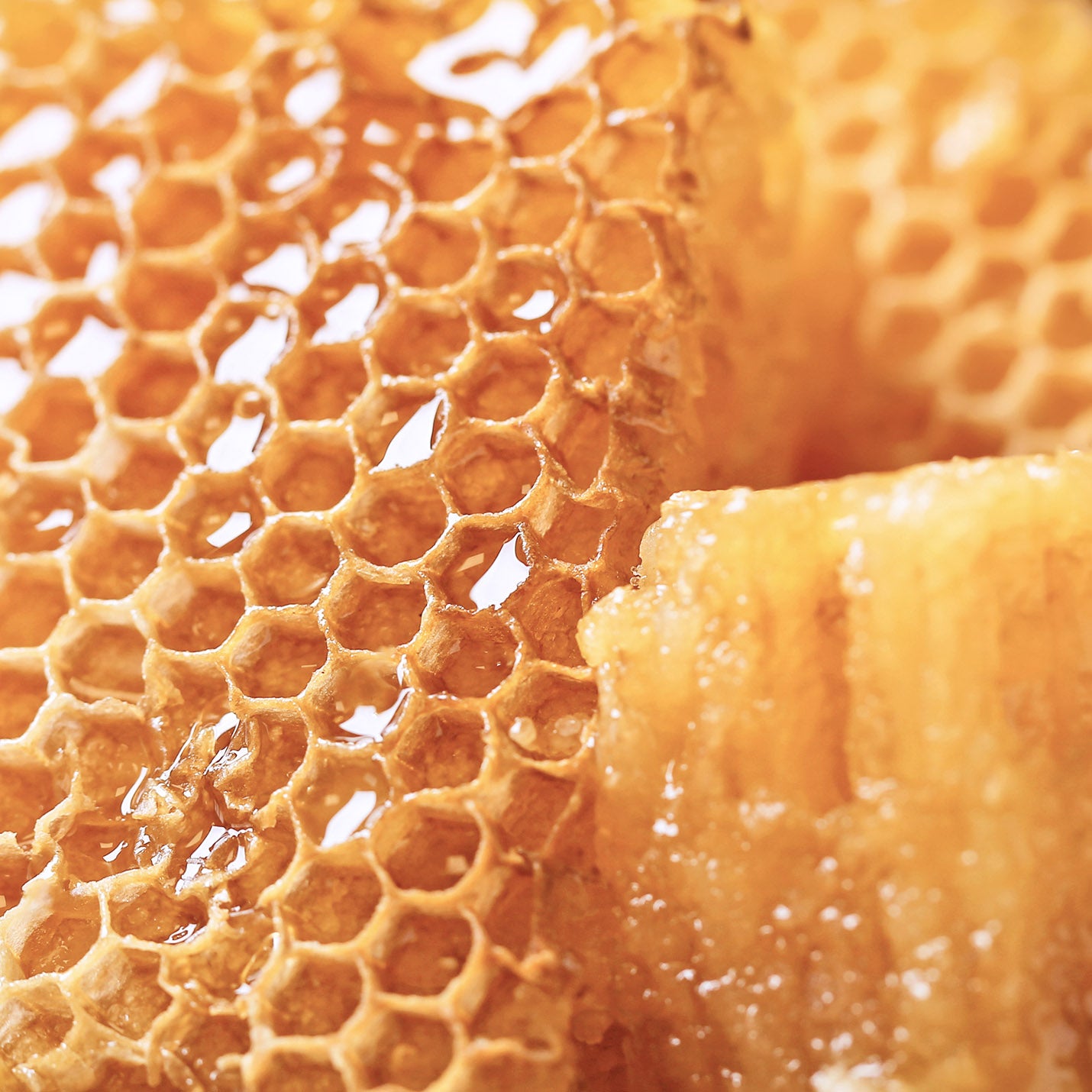 Honey Extract